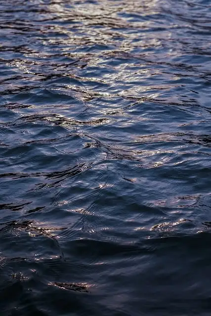 夏の海を楽しむためのおすすめスポット