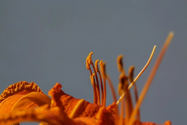 春の花粉対策をシンプルに行う方法