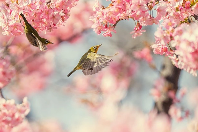 春の新生活に向けた心構えと準備