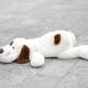 ペットとの生活がシニアに与える安らぎとは？