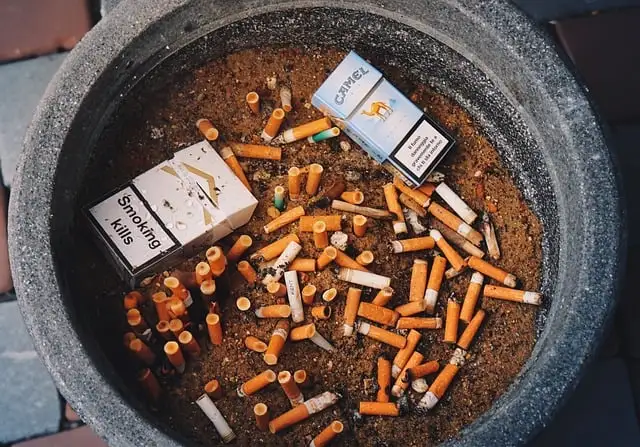 エイジレスな健康を手に入れるための食生活改善法