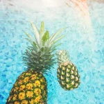 夏のレジャー費を削減するための賢いプラン