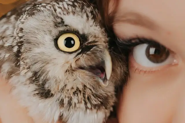 自然とのふれあいを楽しむアウトドア活動