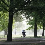 運動不足解消のための楽しいフィットネス活動