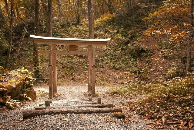 日本各地の美味しい食材を探す旅行